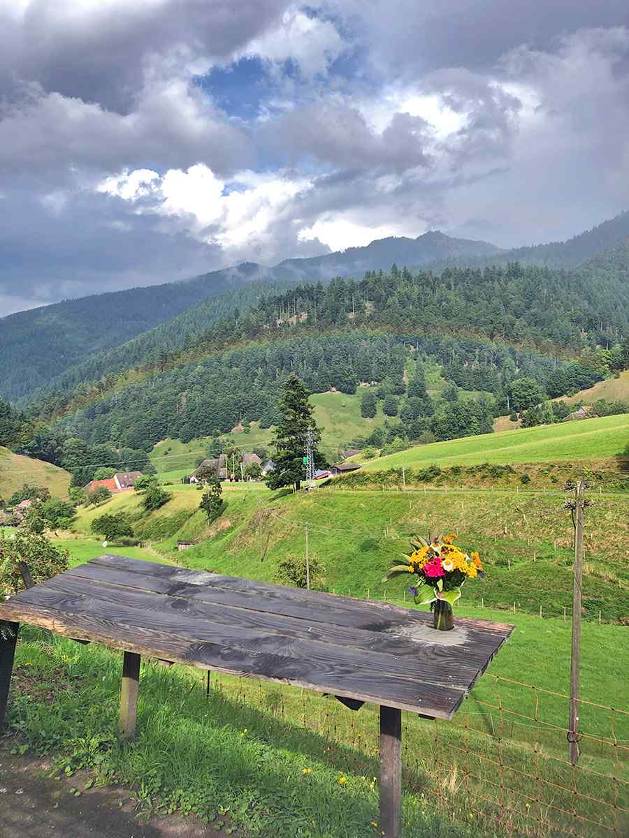 Blick ins Münstertal