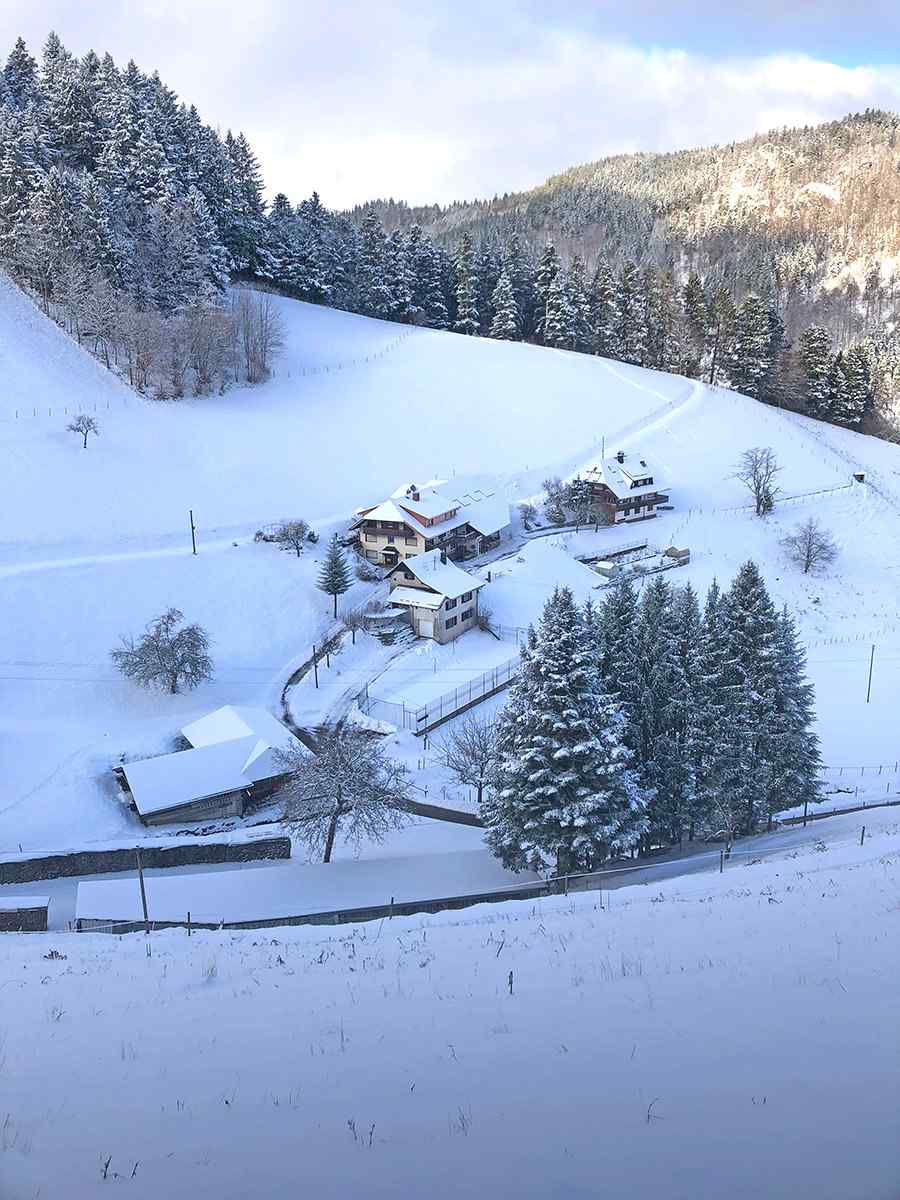 Der Daislehof im Winter