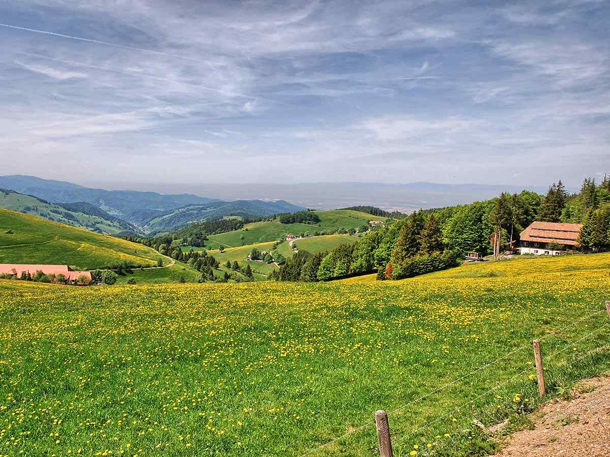 Ausblick vom Schauinsland