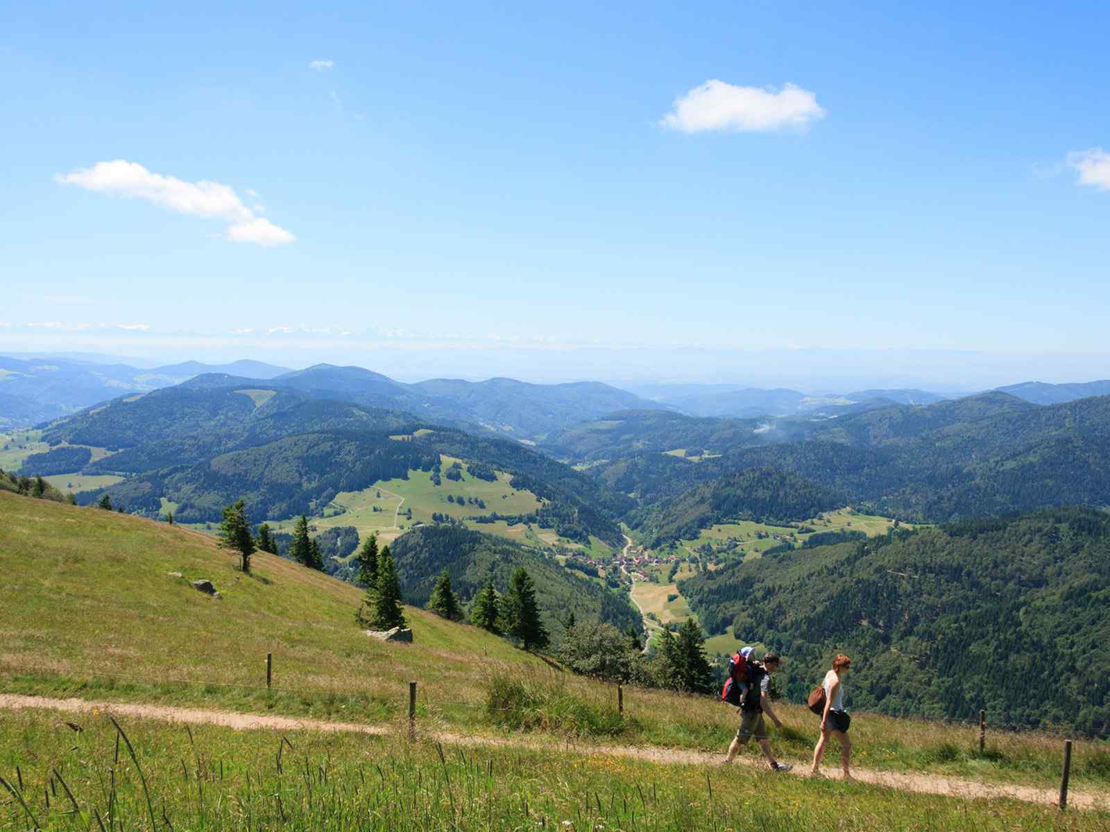 Wanderer und Radfahrer auf grüner Bergwiese am Belchen
